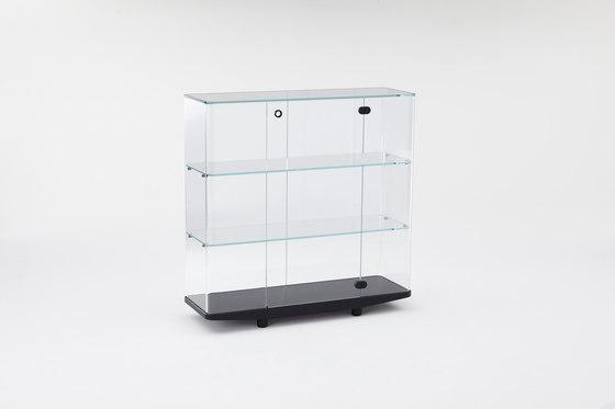 Collector_1.jpg