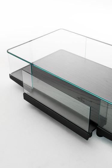 Collector_7.jpg